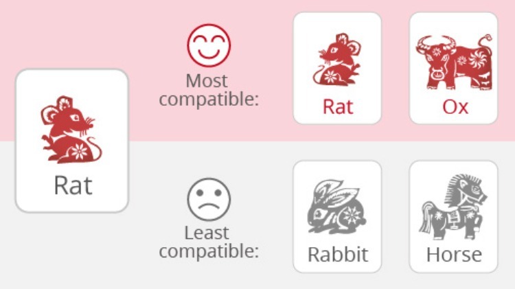 Rat's Love Compatibility