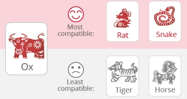 Oxes'Love Compatibility