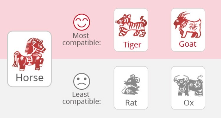 Horses' Love Compatibility