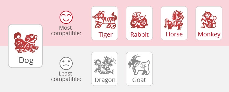 The Dog's Love Compatibility