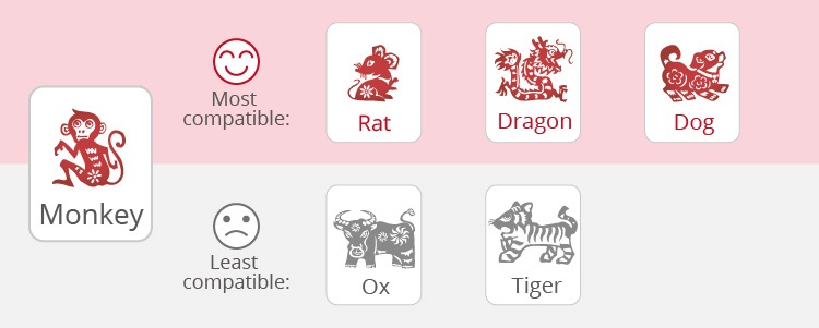 The Monkey's Love Compatibility