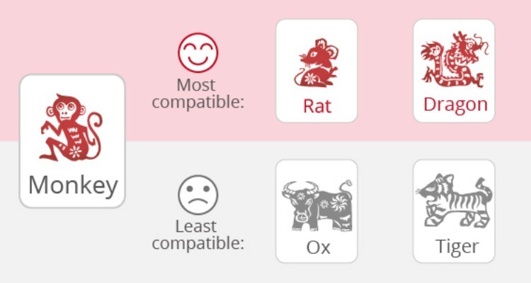 Monkeys' Love Compatibility