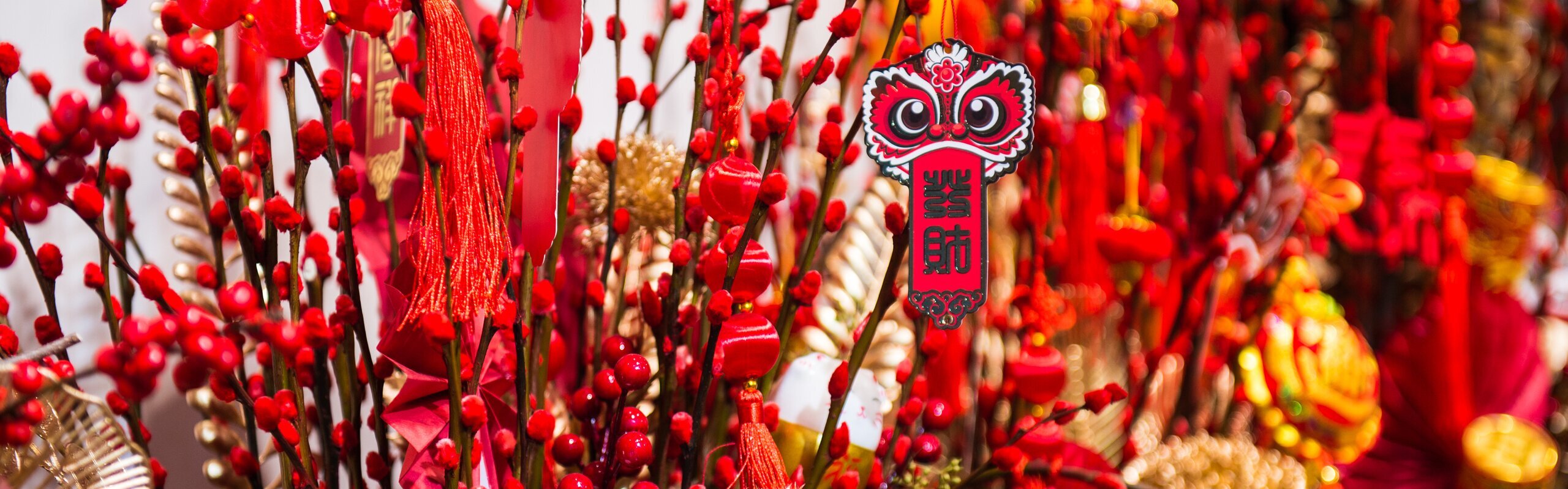 14 Chinese New Year Flowers/Fruits to Bring You Luck in 2026