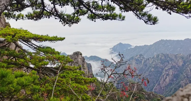 Yellow Mountain