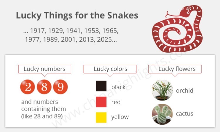 Lucky Things for the Snakes