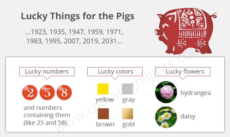 Lucky Things for the Pigs