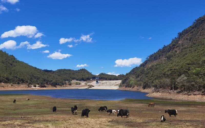 Yunnan Weather in February