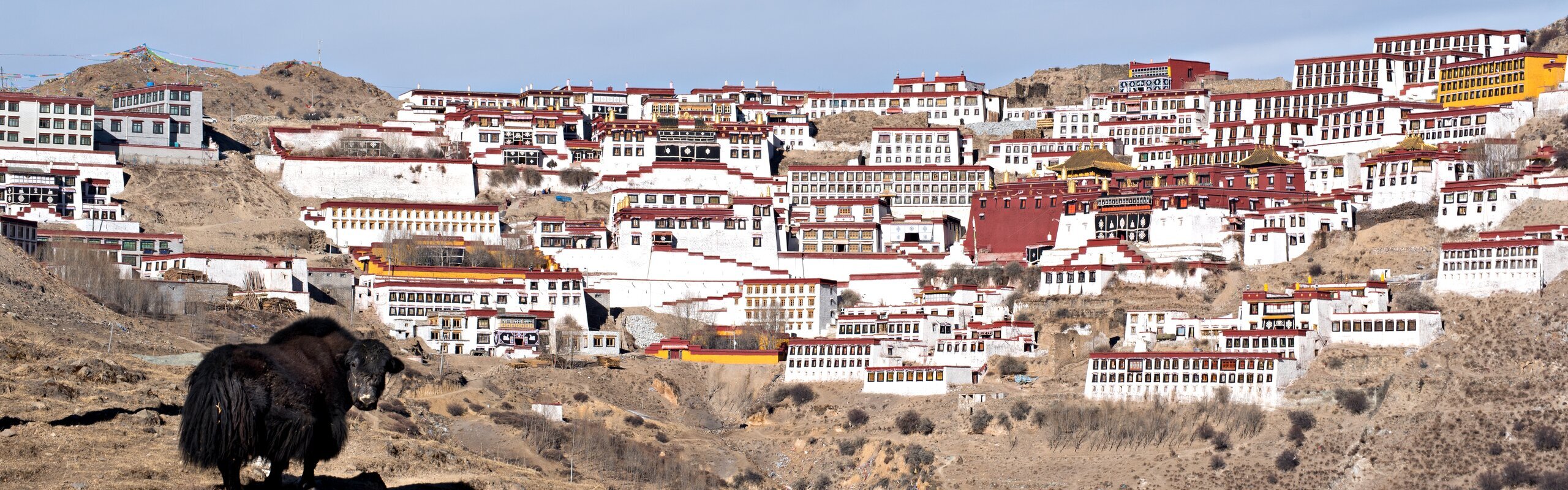 Tibet Trekking — Popular Trekking Trails in Tibet