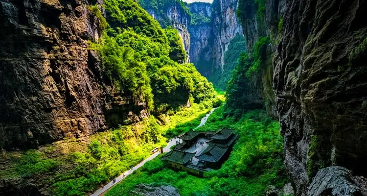 wulong