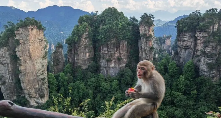 Zhangjiajie