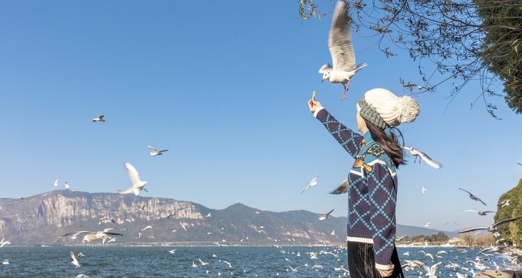 Dianchi Lake