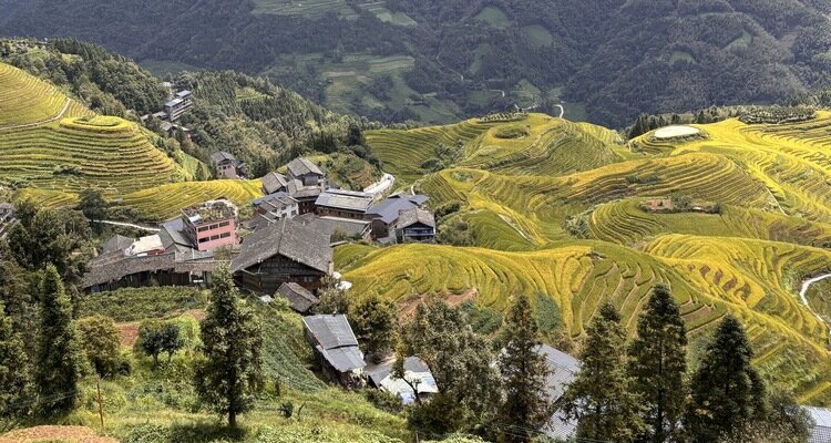 Guilin, Longji  Rice Terrace 