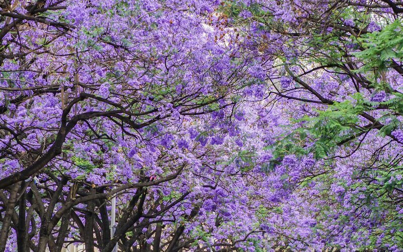 Yunnan Weather in April