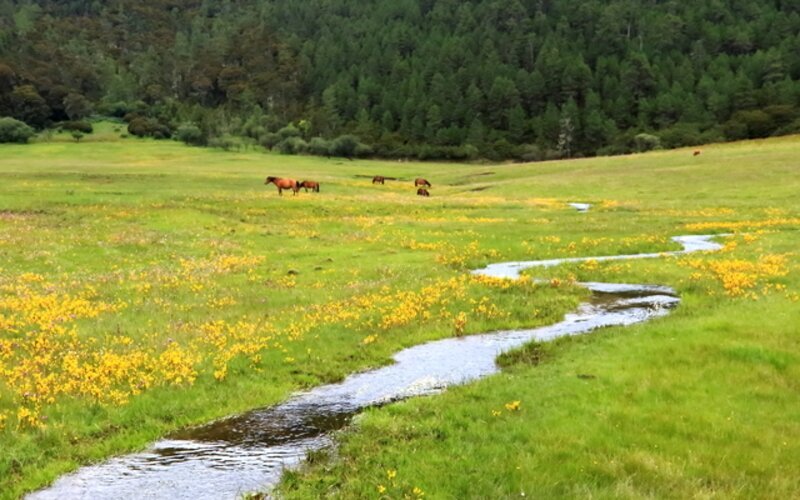 Yunnan Weather in August