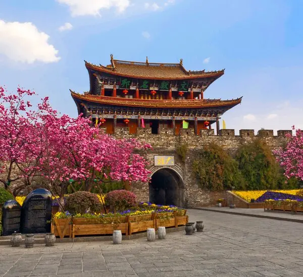 9-Day Yunnan Highlights with Spring Blossom Tour