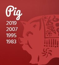 Chinese Zodiac sign - Pig