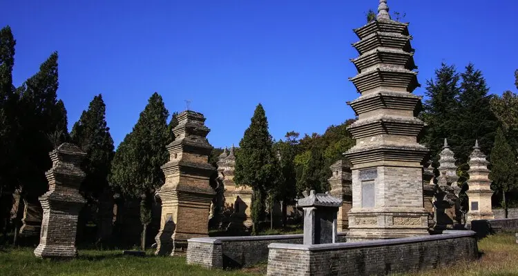 the pagoda forest