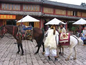 The Ancient Tea Horse Road