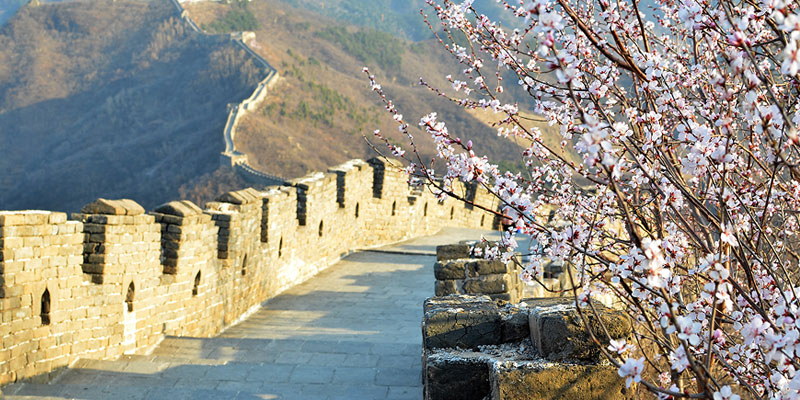 Flowers were booming at the Mutianyu section of Great Wall