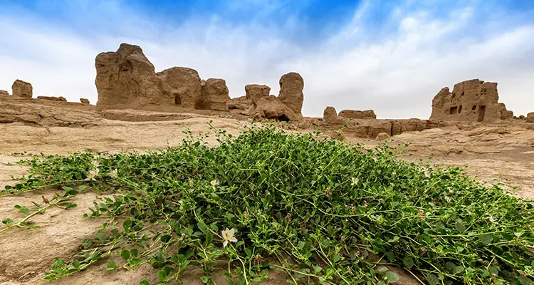 Jiahe Ancient City