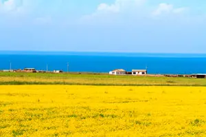 qinghai lake group biking tour
- China travel