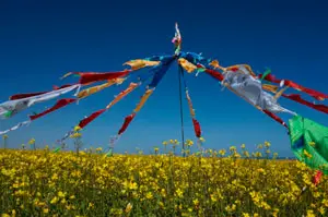 China tour - 
        qinghai lake group biking tour
    
