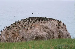 China tour - 
        qinghai lake group biking tour
    