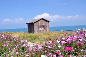 China tour - 
        qinghai lake group biking tour
    