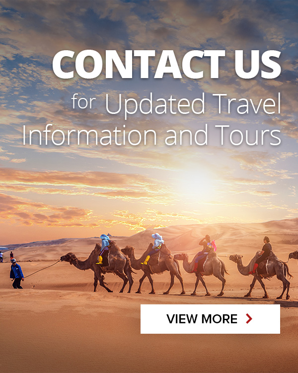 Contact us for updated travel information