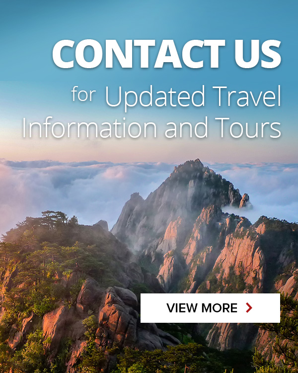 Contact us updated travel information