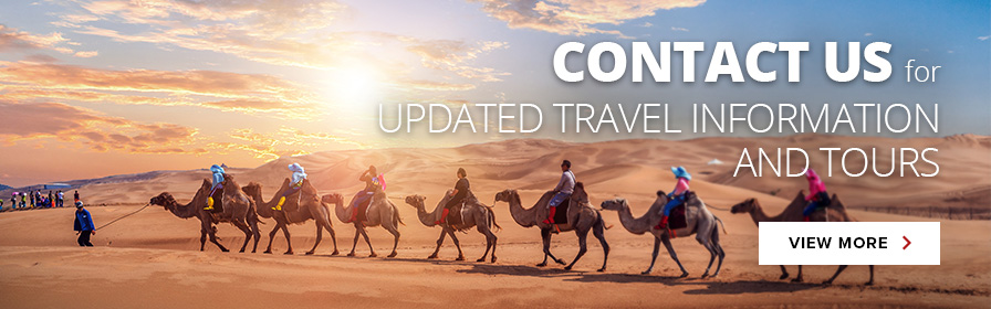 Contact us for updated travel information