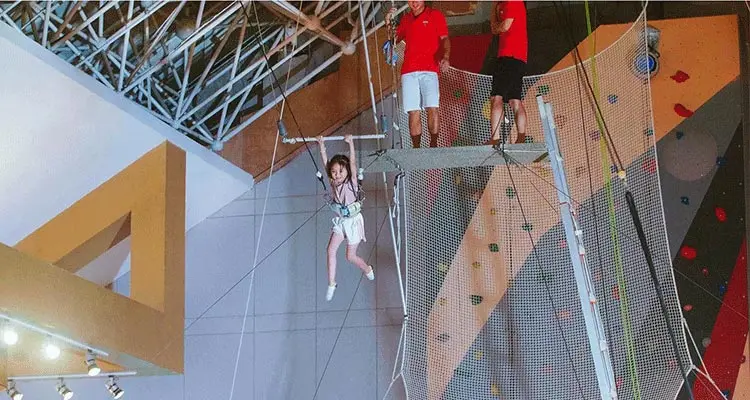 flying trapeze