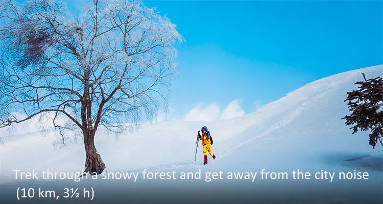 Best China Journey' Special Discovery Experiences