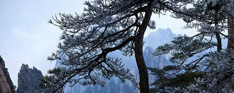 3-day essence of huangshan tour
- China travel