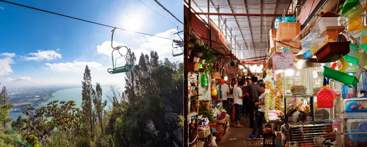 Xishan and Bird and Flower Market