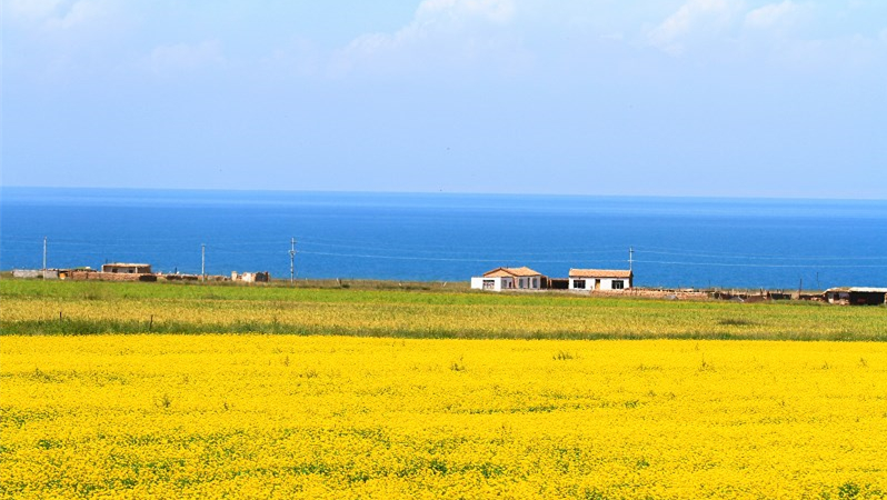 Qinghai Lake
