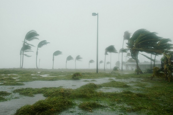 Typhoon