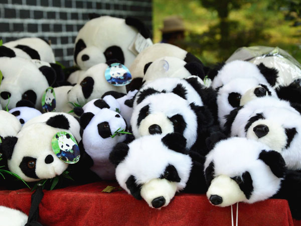 Giant Panda
