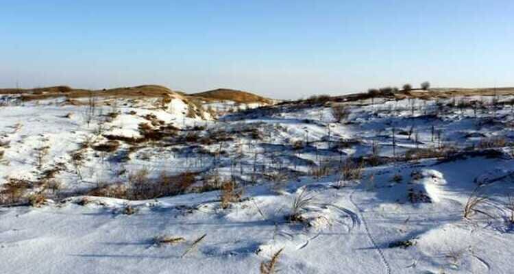 Desert in winter